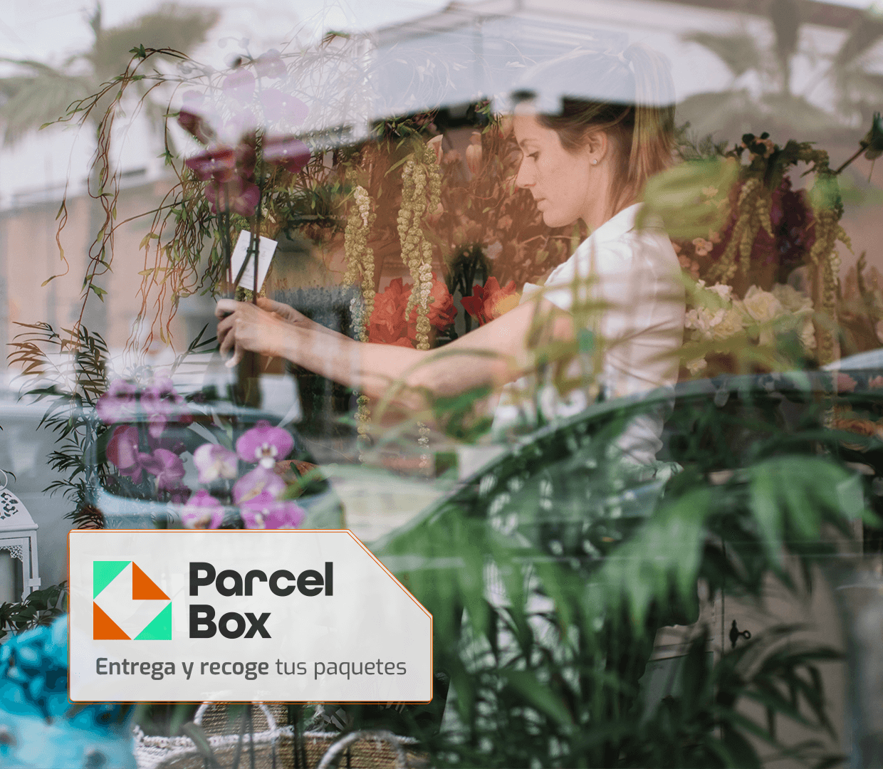 Entrega y recoge tus paquetes Parcel Box